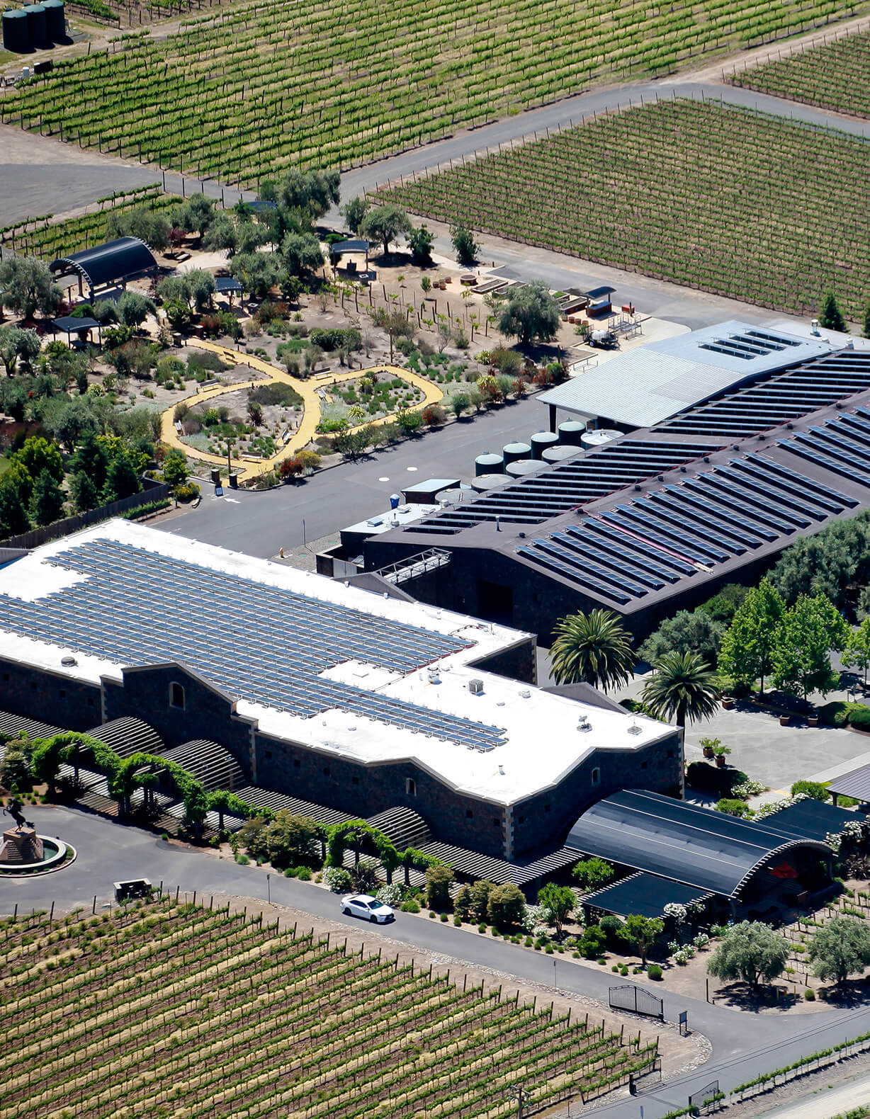 Black Stallion Estate Winery Completes Solar Installation