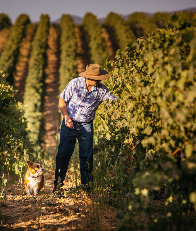 person with dog in the fields