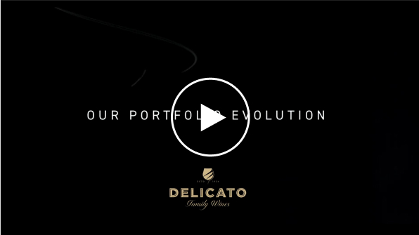 Our Portfolio Evolution